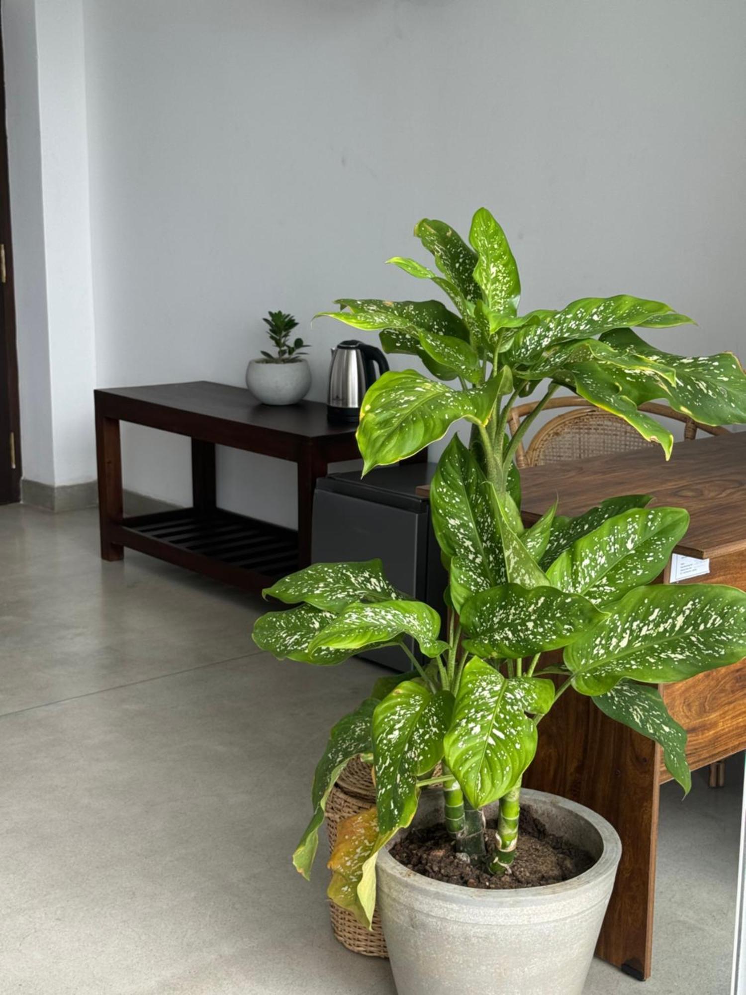 Sapiens Home - Weligama Bay 外观 照片