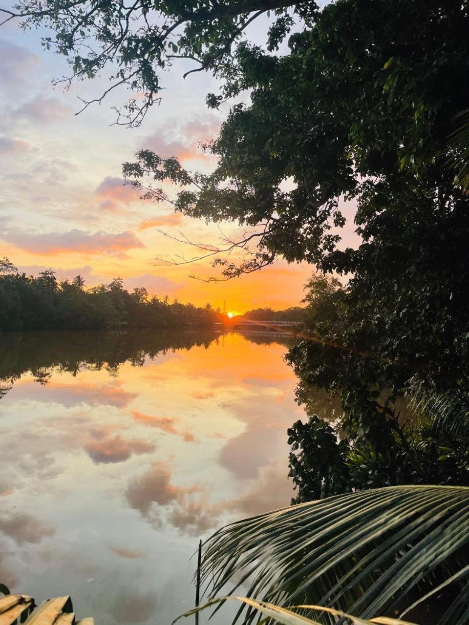 Sapiens Home - Weligama Bay 外观 照片