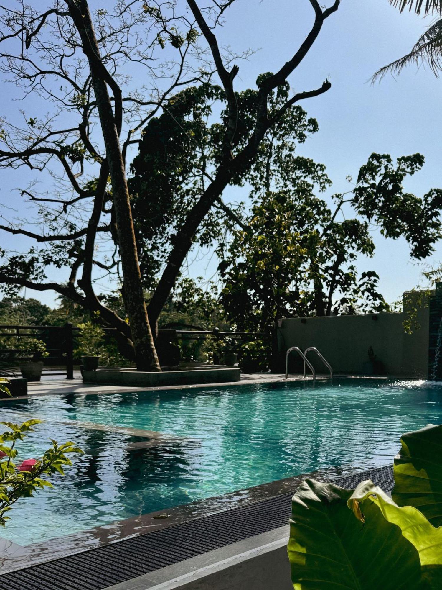 Sapiens Home - Weligama Bay 外观 照片