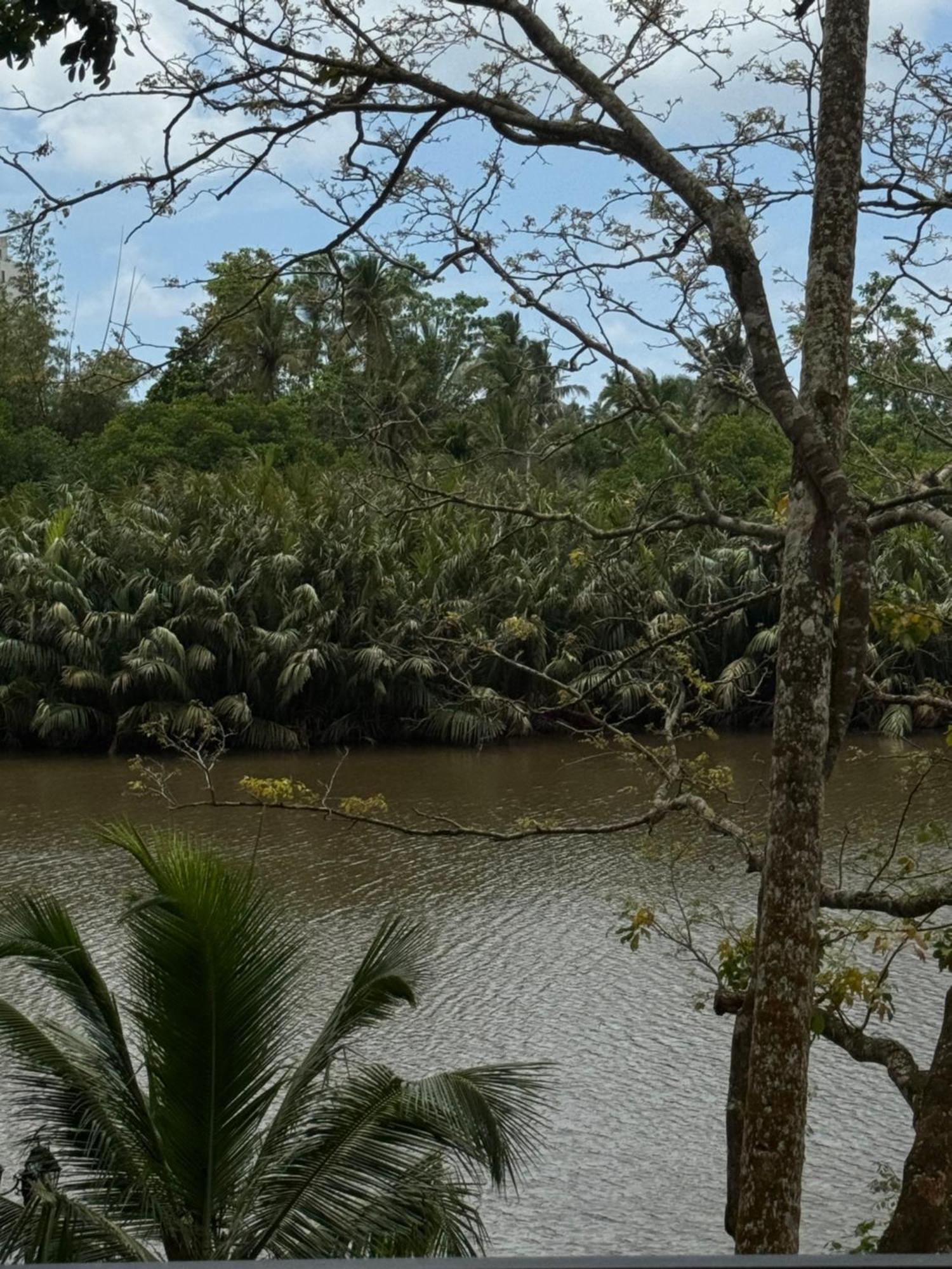 Sapiens Home - Weligama Bay 外观 照片